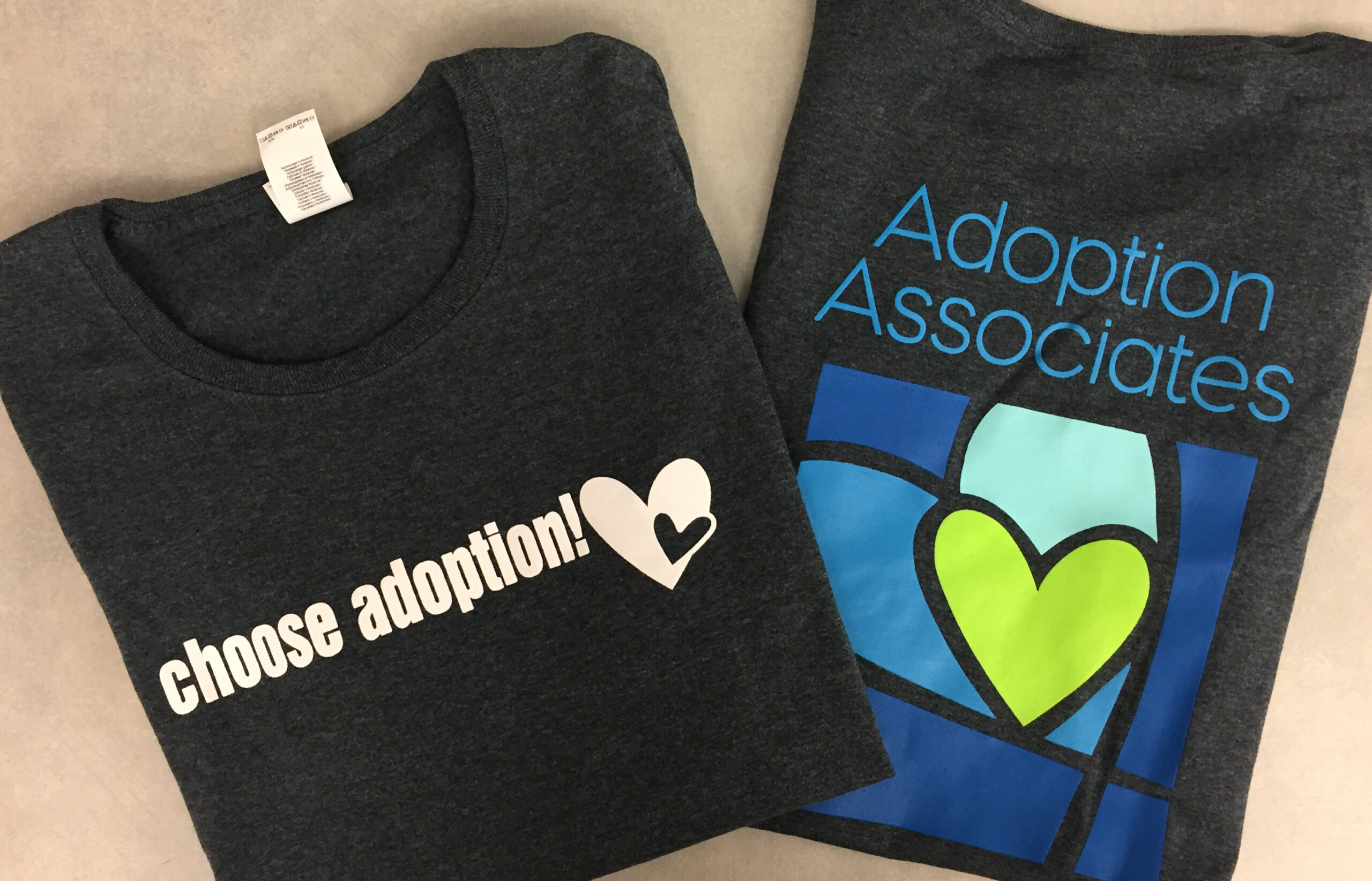 November is Adoption Awareness Month!