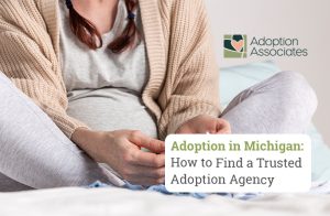 adoption in Michigan