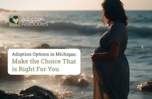 adoption options in Michigan