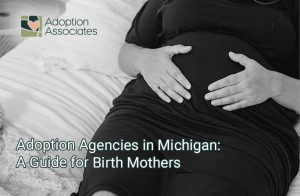 Adoption Agencies in Michigan