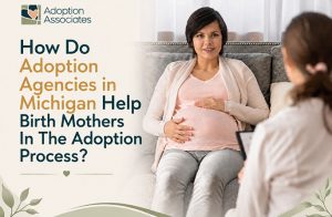 Adoption Agencies in Michigan