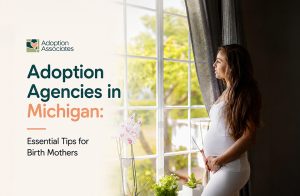 Adoption Agencies in Michigan